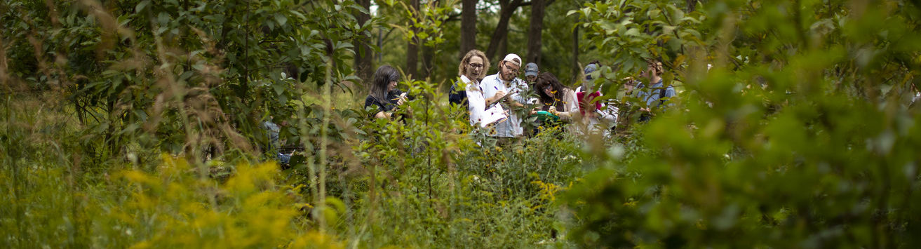 An image of students examining a plant outside