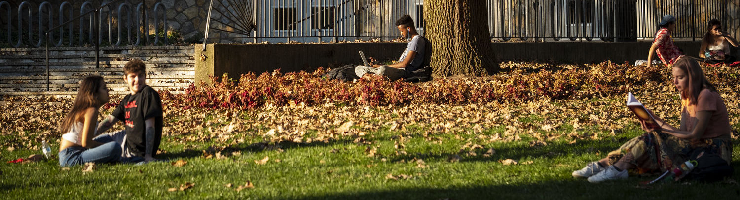 Students sit on the grass in Main Campus.